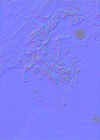 SM Normal Map.png